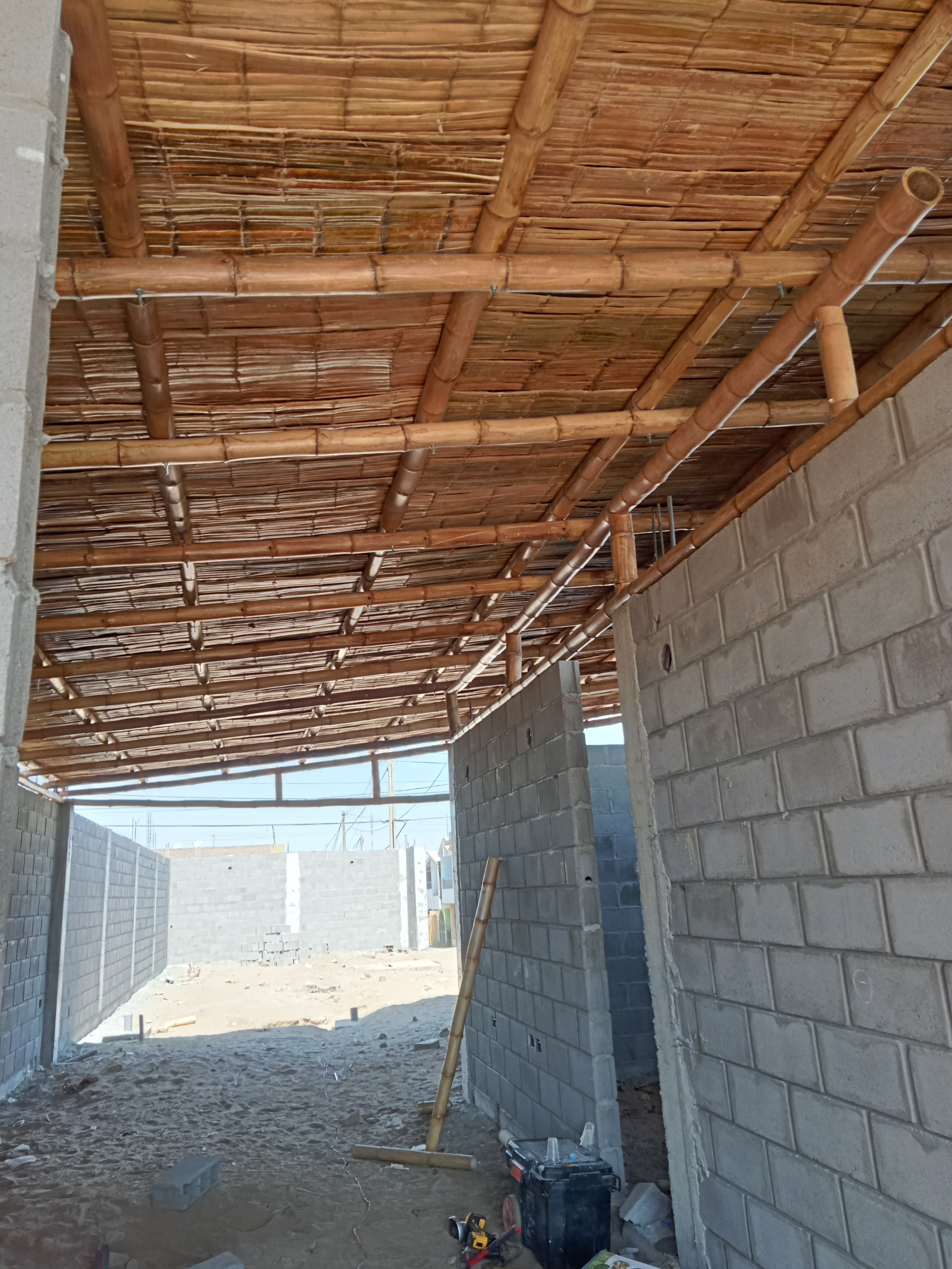 Proyecto ica imagen 2